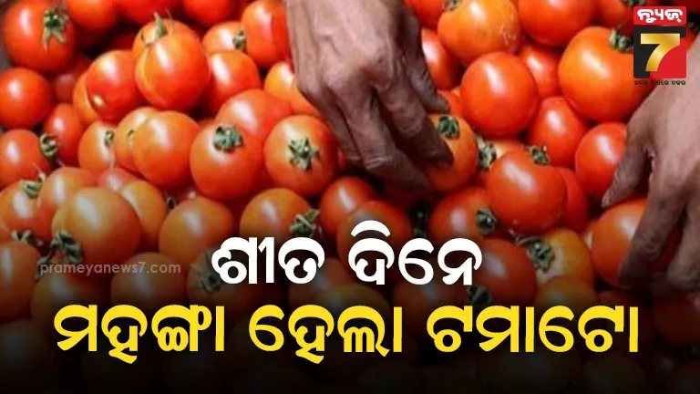 golden-crops-of-the-farmers-are-getting-soaked-in-the-rain