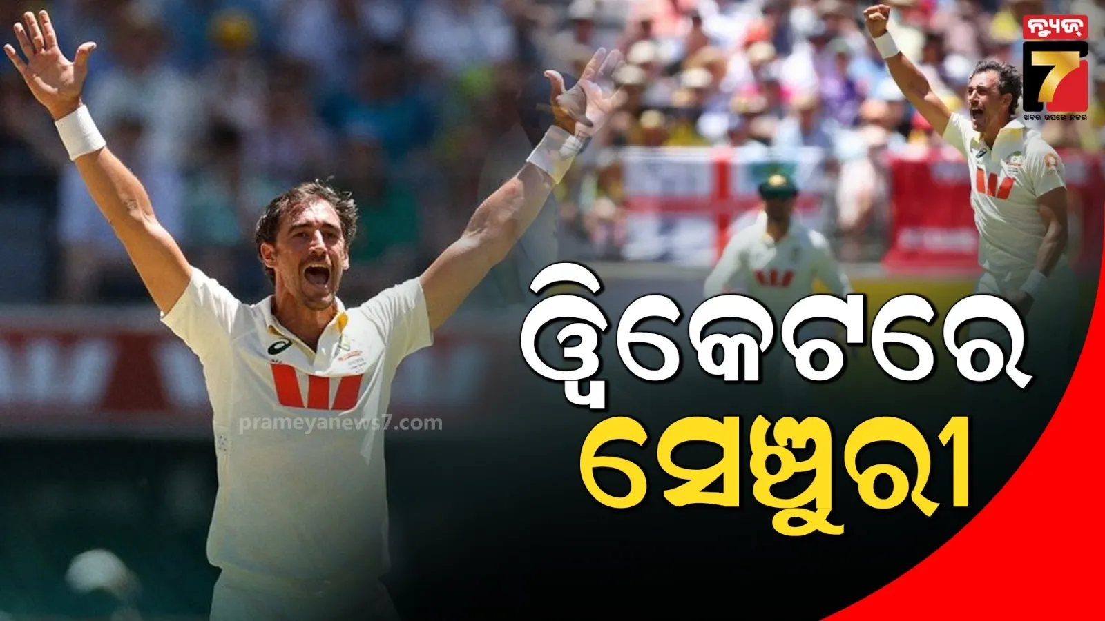 ଆସେସରେ 'ଷ୍ଟାର୍କ ଶୋ' : ୭ ଓ୍ୱିକେଟ୍ ନେଲେ, ରଚିଲେ ଇତିହାସ