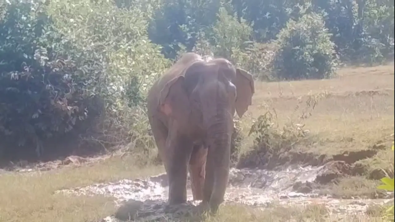 prime-minister-narendra-modi-to-launch-jan-arogya-yojana-in-ranchi