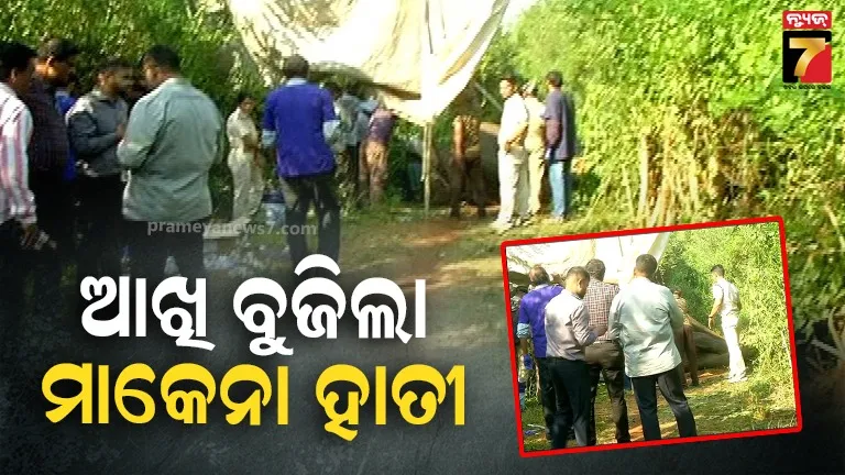 ଚନ୍ଦକା ଜଙ୍ଗଲରେ ଆଖି ବୁଜିଲା ମାଖେନା ହାତୀ, ମନ୍ତ୍ରୀ କହିଲେ- ତଦନ୍ତ ରିପୋର୍ଟ ଆସିଲେ ହେବ ଆକ୍ସନ