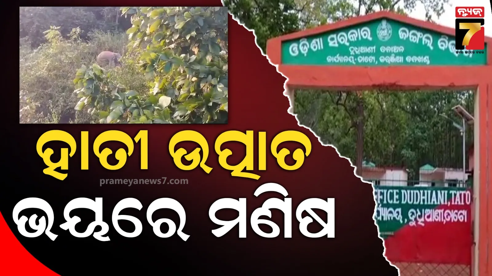 bbsr-senior-civillian-being-looted-while-going-on-morning-walk