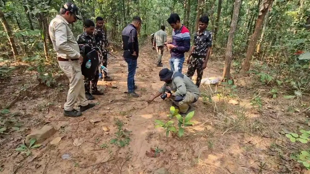 sania-mirza-won-her-first-doubles-title-after-becoming-a-mother