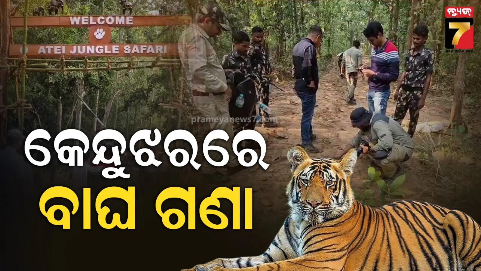 କେନ୍ଦୁଝର ବନଖଣ୍ଡର ୧୦୫ ବିଟ୍‌ରେ ଚାଲିଛି ବାଘ ଗଣନା, ଜାନୁଆରୀ ପର୍ଯ୍ୟନ୍ତ ଚାଲିବ