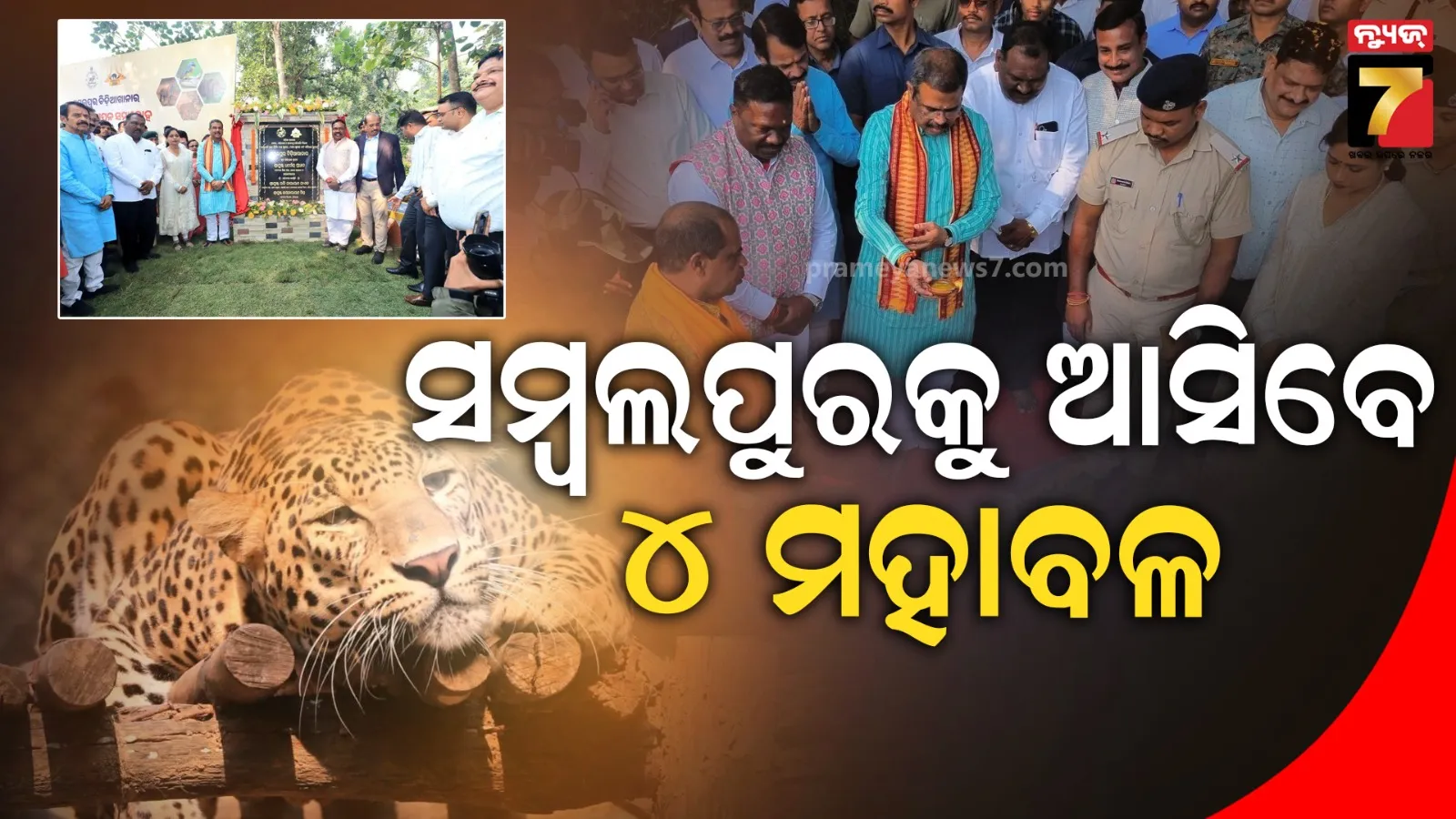 talcher-mcl-manager-and-ari-trapped-by-cbi-while-taking-bribe