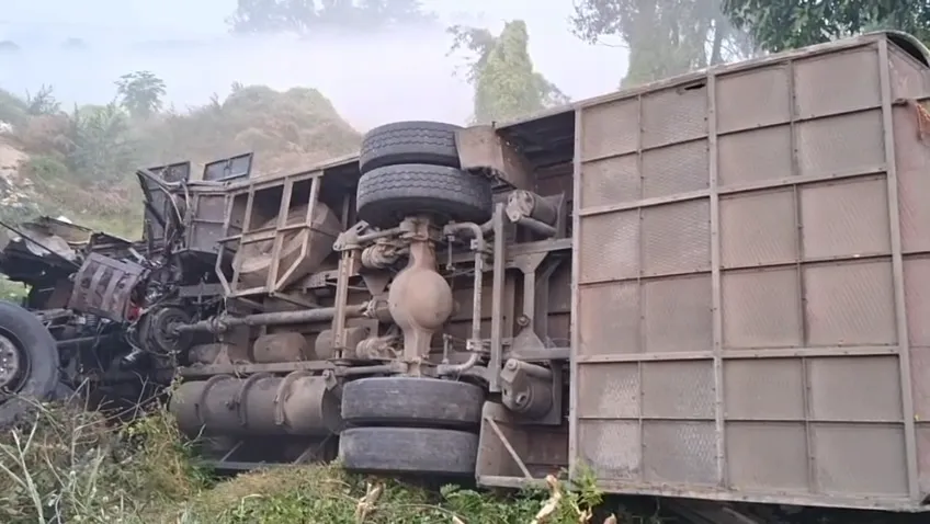 elephant-electrocuted-to-death-in-mayurbhanj