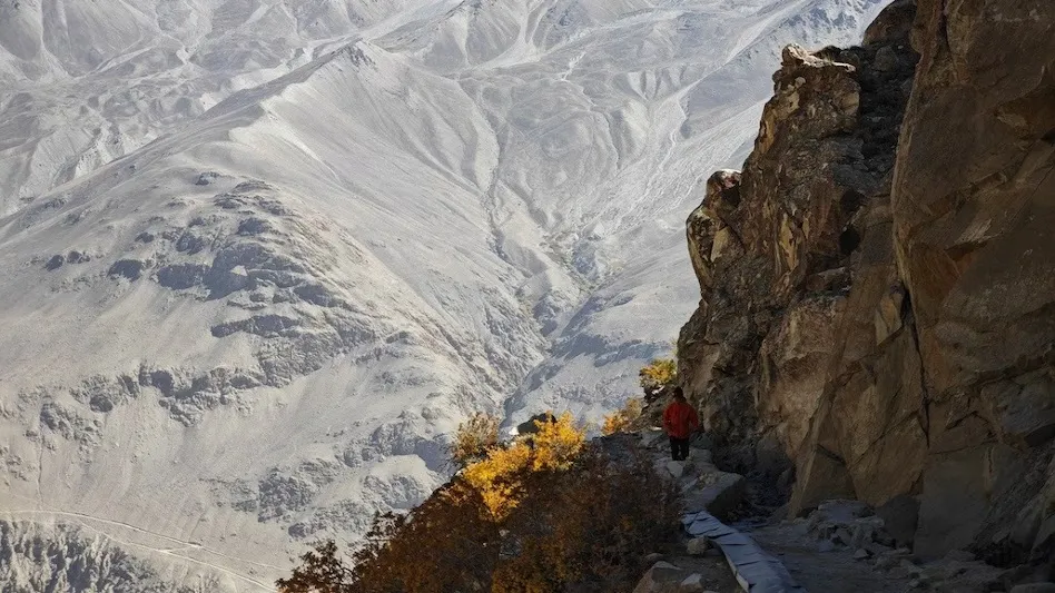 congress-suspends-maharashtra-mla-sulbha-khodke-for-anti-party-activities