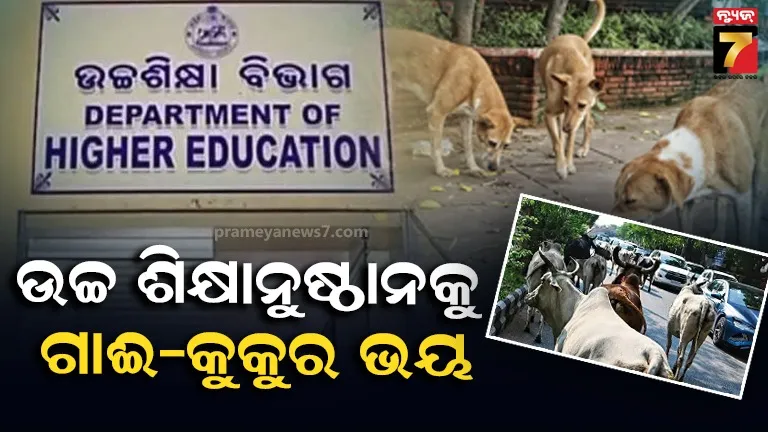 କଲେଜରେ ବୁଲା କୁକୁର ଓ ଗାଈ ପ୍ରବେଶ ଉପରେ ଲାଗିବ ରୋକ୍, ଅଧ୍ୟକ୍ଷମାନଙ୍କୁ ଉଚ୍ଚ ଶିକ୍ଷା ବିଭାଗର ଚିଠି