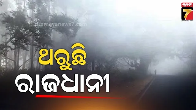 -priyanka-gandhi-on-delhi-election-results