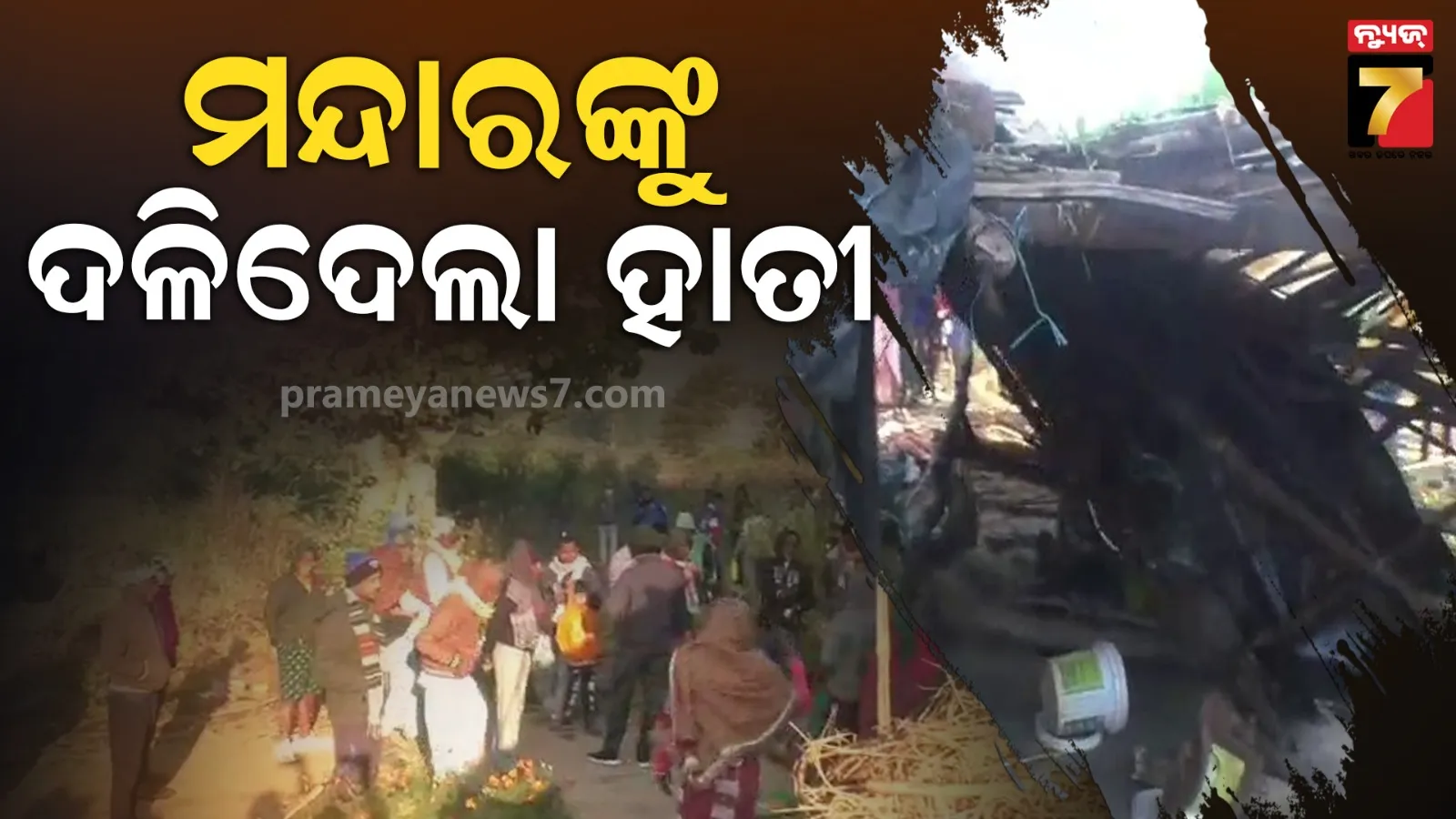 ଗାଁକୁ ଗାଁ ବୁଲୁଛନ୍ତି ହାତୀ ପଲ, ଘରୁ ଟାଣିନେଇ ମହିଳାଙ୍କୁ ଦଳିଦେଲା