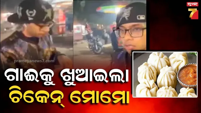 ଗାଈକୁ ଚିକେନ୍ ମୋମୋ ଖୁଆଇ ଭିଡିଓ କରିଥିଲା ୟୁଟ୍ୟୁବର, ମାଡ଼ ମାରି ଥାନାରେ ଦେଲେ ଲୋକେ