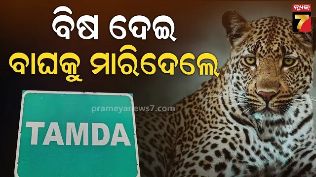 studio-owner-deadbody-found-in-jajpur-