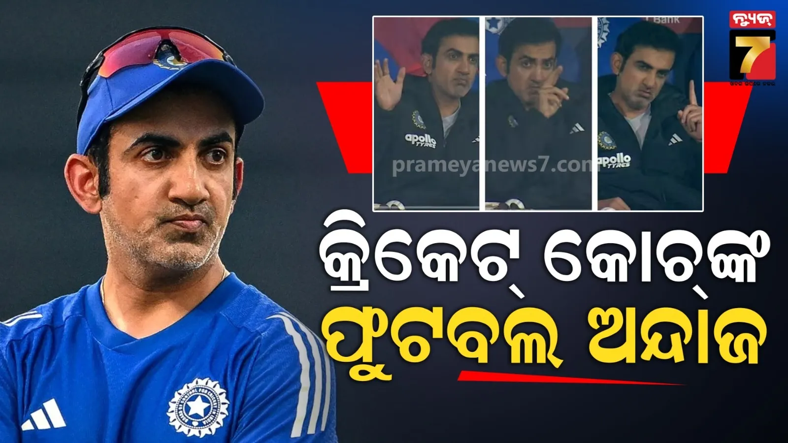 elephant-found-dead-in-athagarh