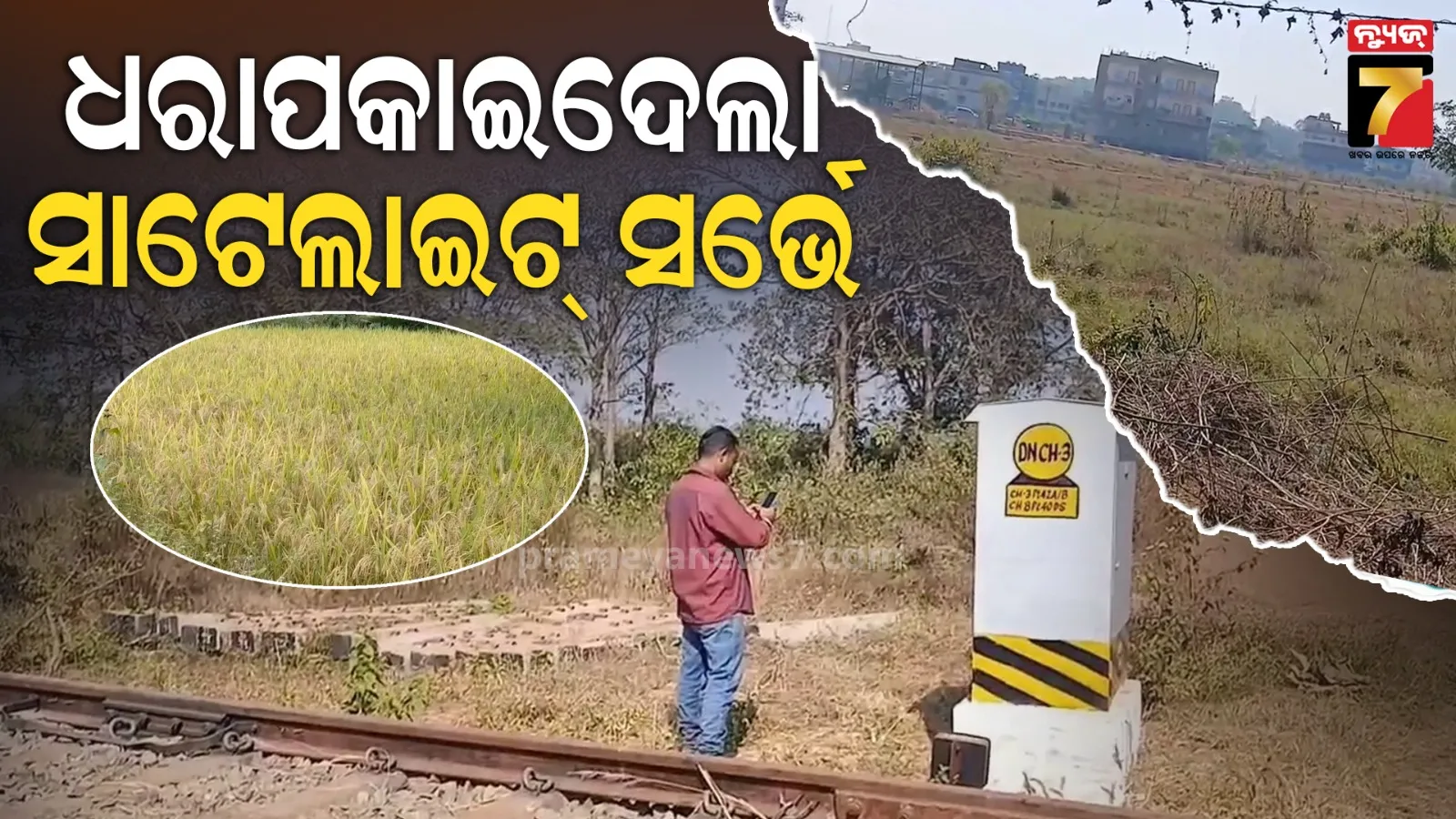 ସାଟେଲାଇଟ୍ ସର୍ଭେରେ ଧରାପଡ଼ିଗଲା ପ୍ଲଟ୍ ଜାଲିଆତି, ହଜାର ହଜାର ନକଲି ପ୍ଲଟ୍‌ରେ ଧାନ ଚାଷ