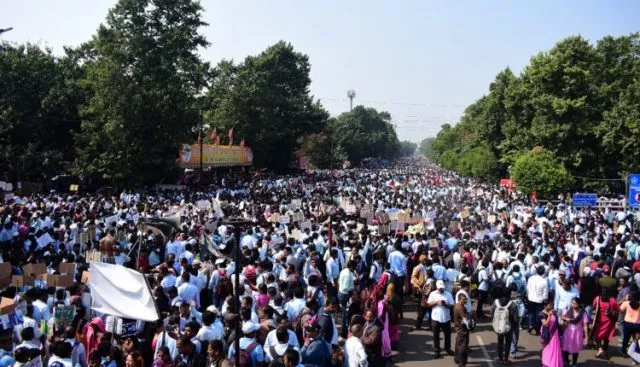thousands-of-dead-chickens-fell-on-the-streets-for-fear-of-bird-flu