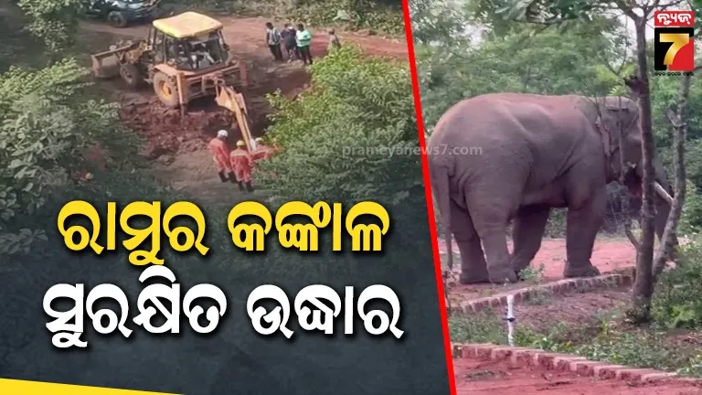 corona-variant-found-in-britain-more-deadly-experts-said-this-danger-should-be-taken-seriously