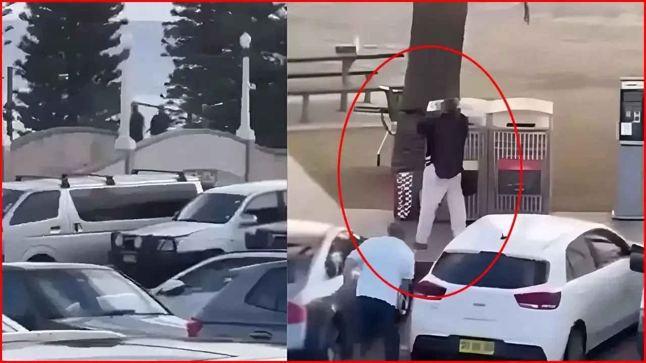 ବଣ୍ଡି ବିଚ୍ ସୁଟରକୁ ଏମିତି କାବୁ କଲେ ଦୁଃସାହାସୀ ବ୍ୟକ୍ତି, #Watch Video