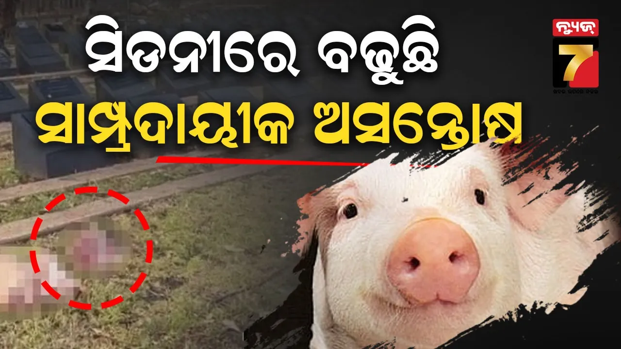 missing-youth-mrutadeha-found-from-pond-in-anandapur