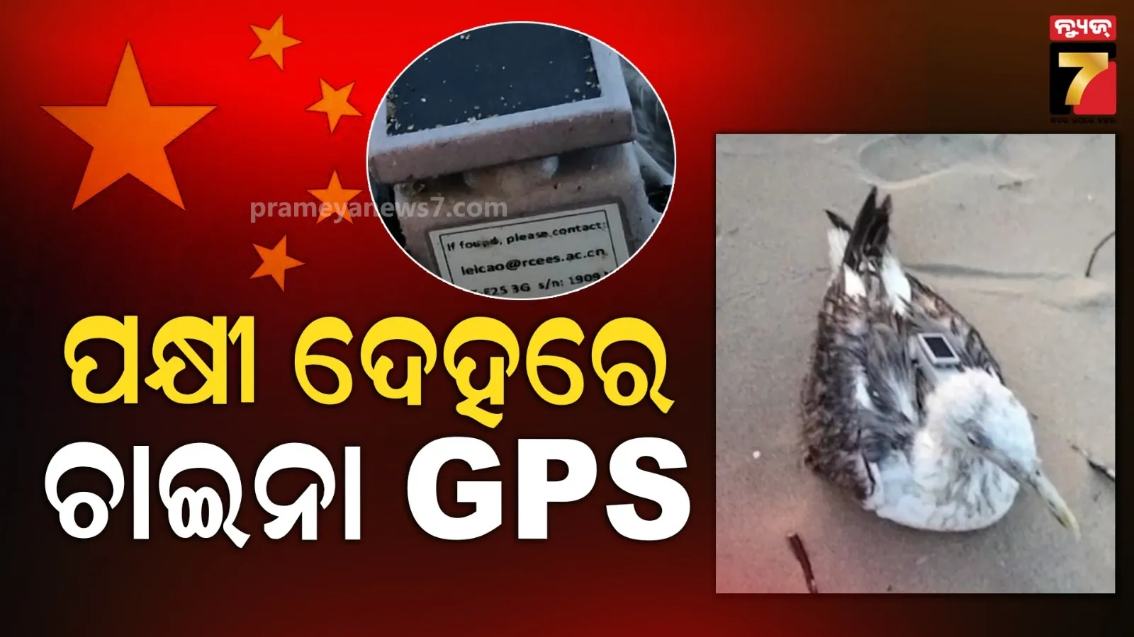 deadbody-resque-in-ganjam-kotamani-hill