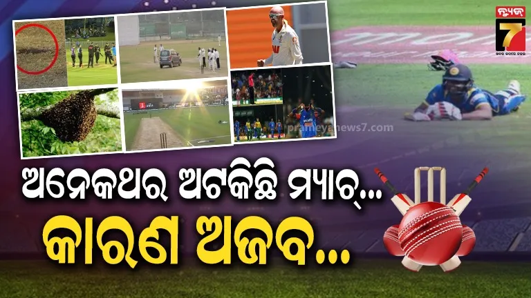 ପିଚ୍ ରେ କେବେ କାର୍ ତ କେବେ ସାପ,  କ୍ରିକେଟ୍ ମ୍ୟାଚ୍ ଅଟକିଥିବାର ଅନେକ କାରଣ...