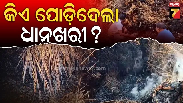 20-grams-of-almonds-every-day-can-prevent-from-cancer