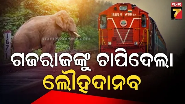 chin-suspends-coal-import-from-australia