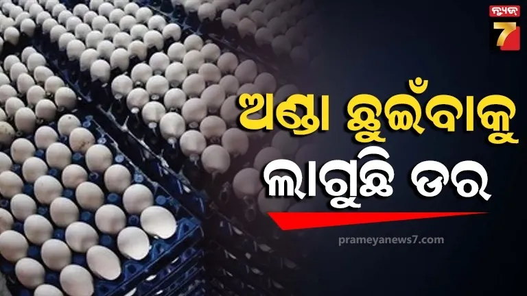 bangladeshi-woman-in-bengaluru-police-solved-case