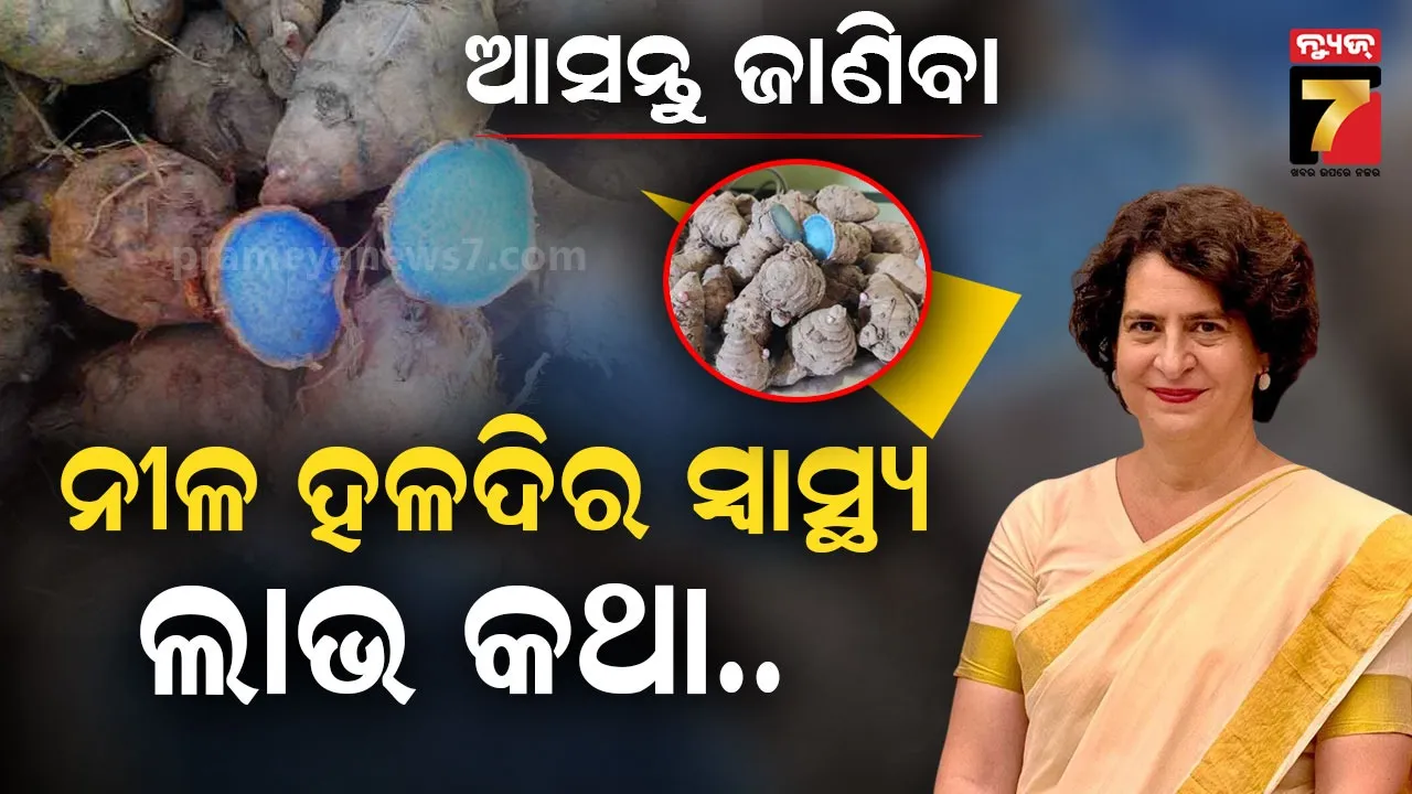 ନୀଳ ହଳଦି  ସେବନ କରନ୍ତି ପ୍ରିୟଙ୍କା ଗାନ୍ଧି, ଟି-ପାର୍ଟିରେ ପ୍ରଧାନମନ୍ତ୍ରୀ ପଚାରିଥିଲେ ଏହାର ସ୍ୱାସ୍ଥ୍ୟ ଲାଭ 