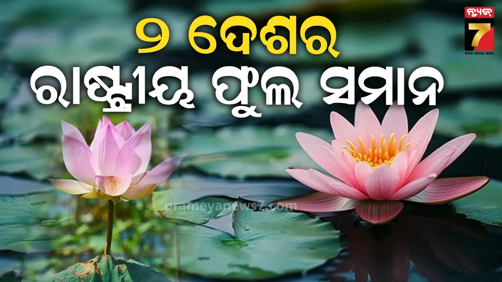 western-odisha-12-hour-bandh-demanding-high-court-bench