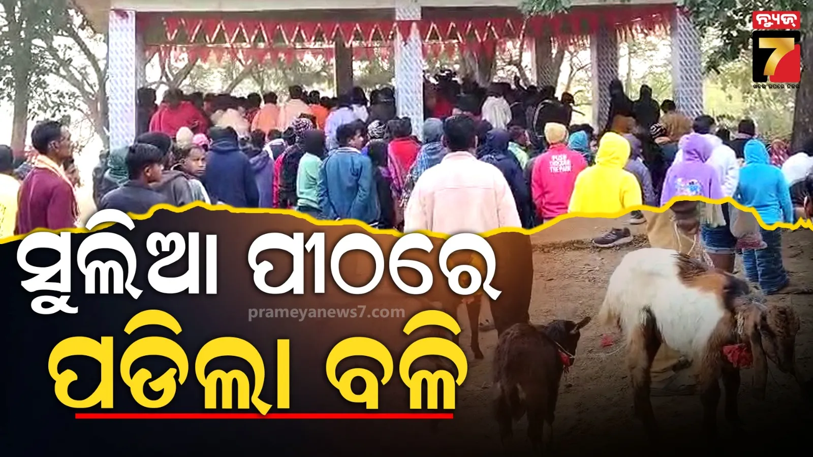 gold-prices-fall-700-after-hitting-record-high