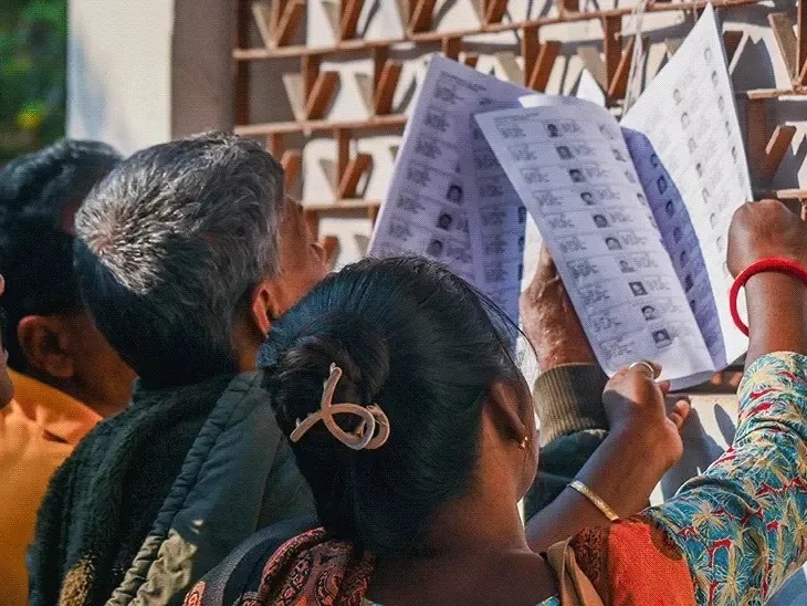 nearly-4000-dogs-cats-rabbits-and-other-pets-found-dead-in-boxes-at-logistics-depot-in-china