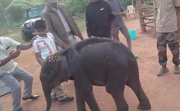amitabh-bachchan-shares-his-wedding-picture-with-jaya-bachchan-on-his-48th-marriage-anniversary