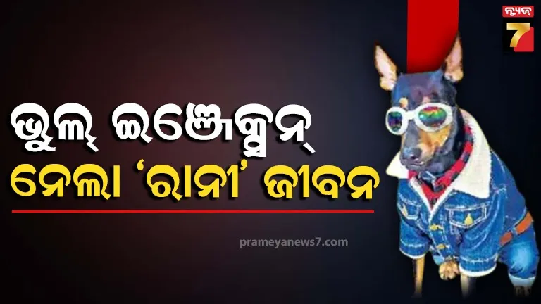 boston-restaurant-robot-cooks-makes-delicious-and-hygienic-foods