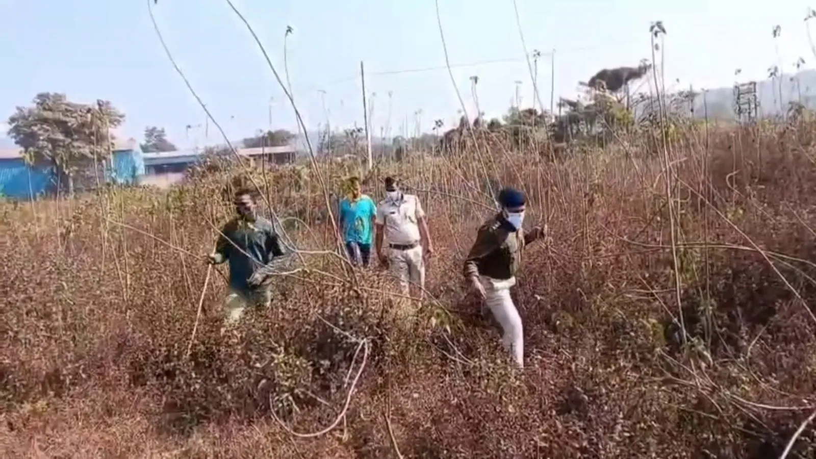 congress-called-pm-modi-gayab-by-posting-headless-photo-bjp-gave-this-reply--