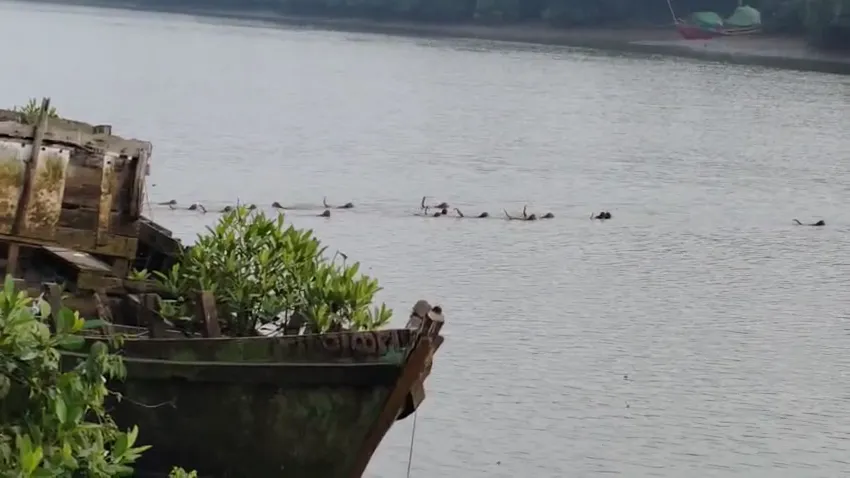 miscreants-shoot-at-school-bus