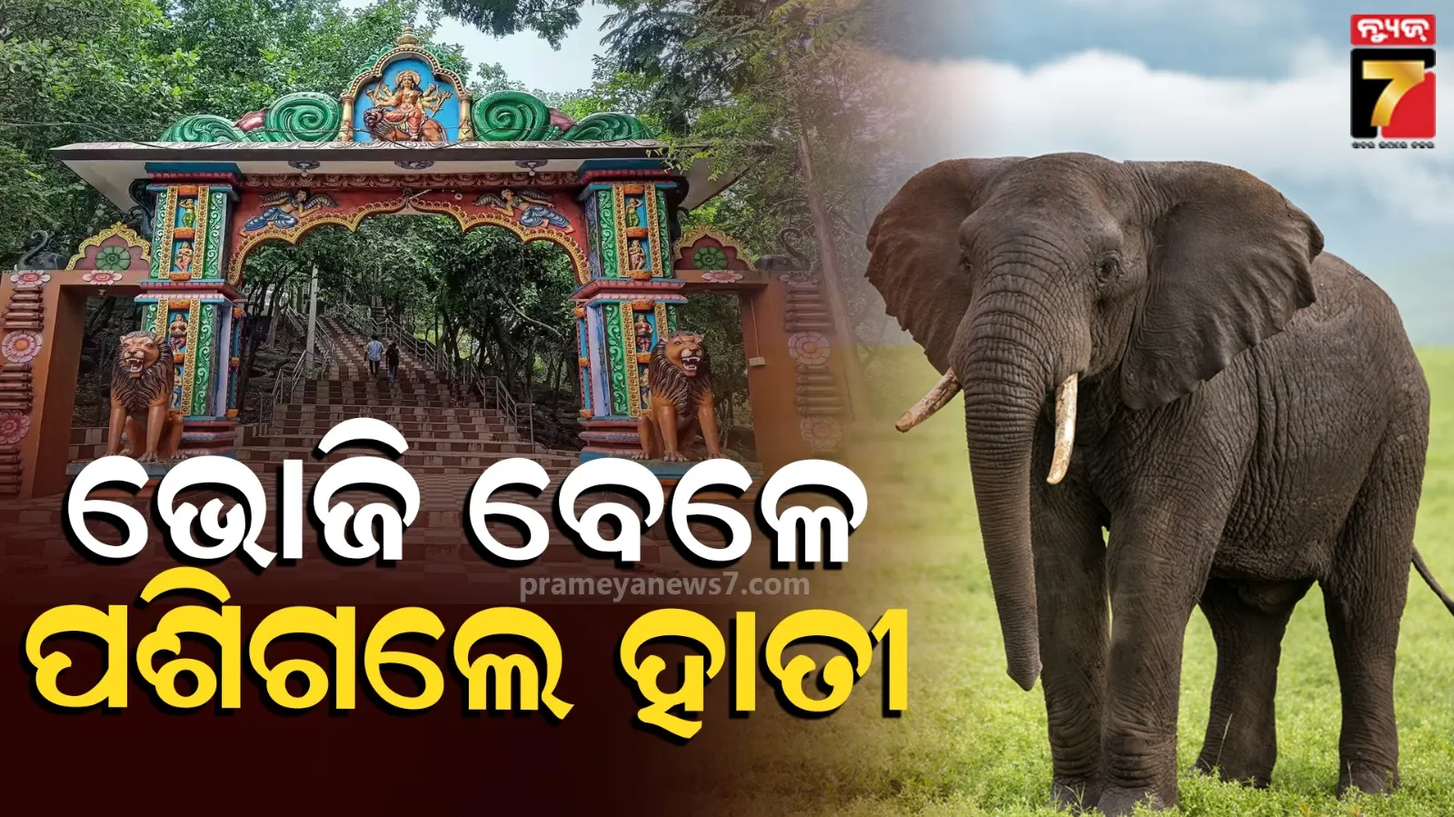 what-items-does-india-import-from-pakistan-