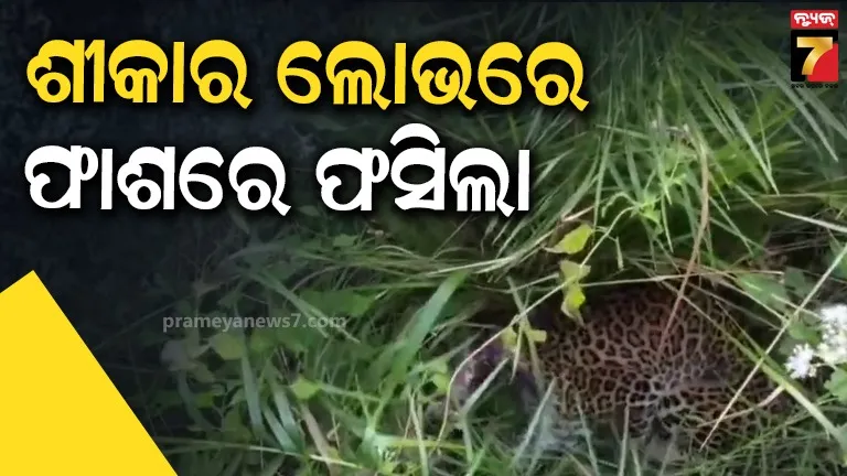 youth-slits-tongue-at-tarini-temple-premises-in-ghatagaon