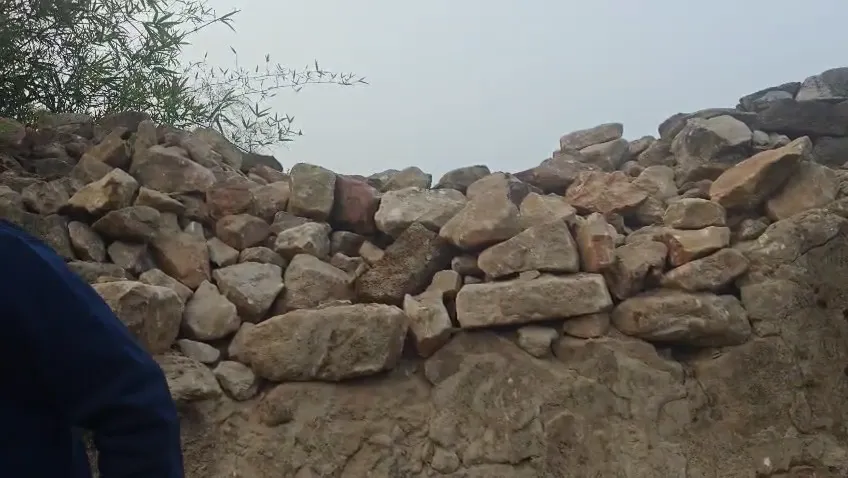 neeraj-chopra-gold-paavo-nurmi-games-2024