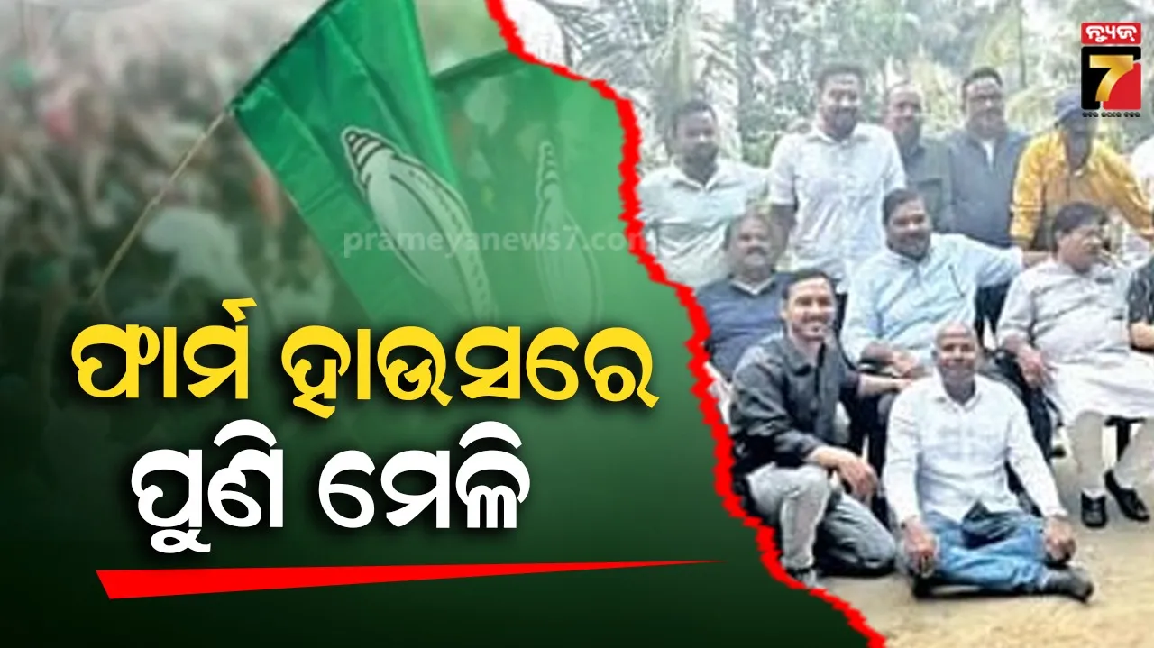 eating-egg-is-nectar-for-these-people-many-diseases-are-removed