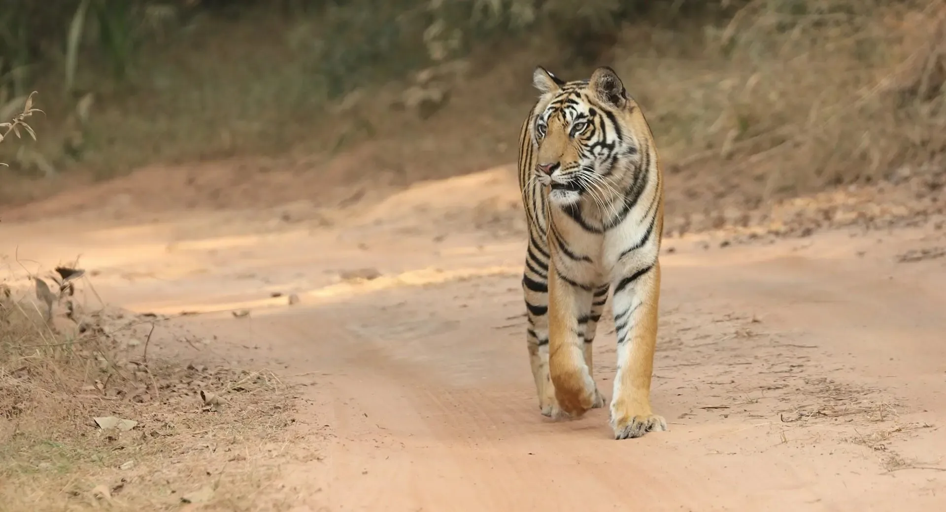 aamir-khan-daughter-ira-khan-got-a-dreamy-proposal-from-her-boyfriend