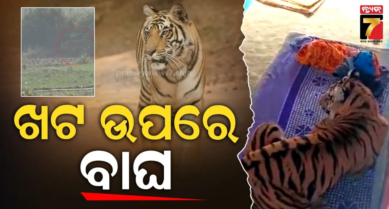 list-of-the-worlds-most-powerful-air-forces-released