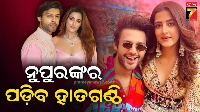 କୋଟିପତି ଗାୟକଙ୍କ କନିଆ ସାଜିବେ କ୍ରିତି ସାନନ୍‌ଙ୍କ ଭଉଣୀ, ଉଦୟପୁରରେ ହେବ ରୟାଲ ୱେଡିଂ