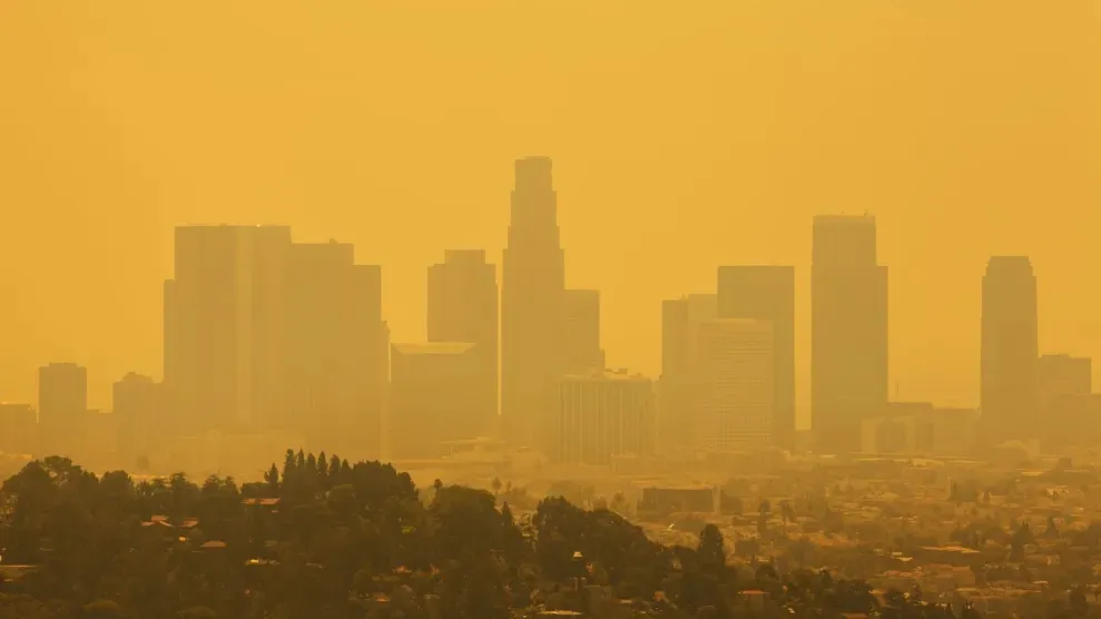 pakistani-man-living-illegally-in-pune-for-8-years-arrested