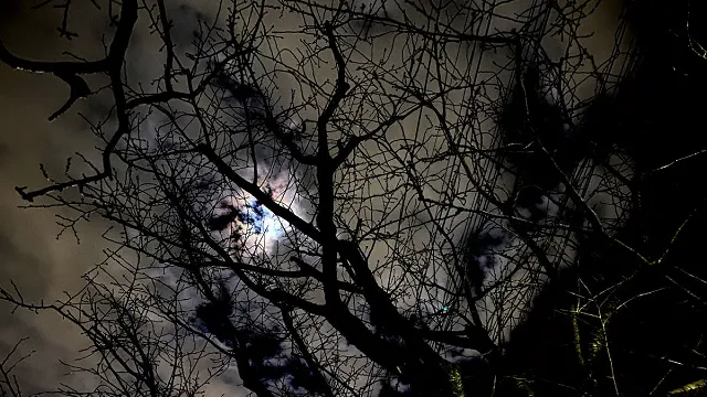 bollywood-legendary-actress-minoo-mumtaz-passed-away