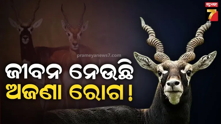 opposition-party-oppose-due-to-crisis-of-lord-jaganath-money