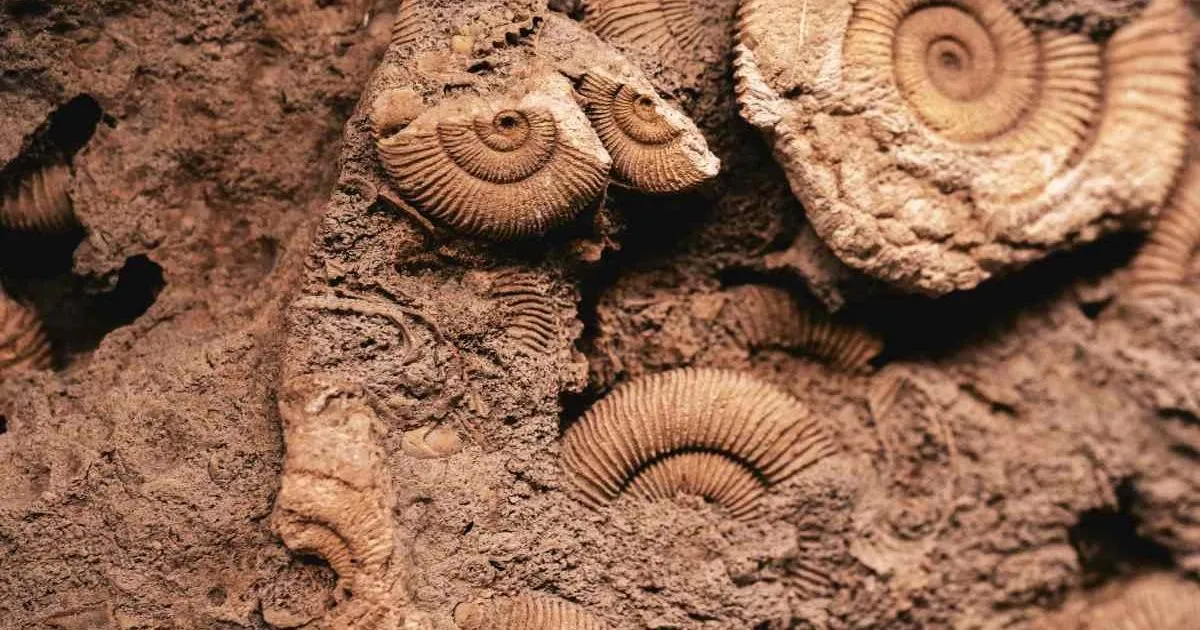 four-member-thieft-gang-nabed-by-nilikana-villagers-of-kendrapara-sadar-ps