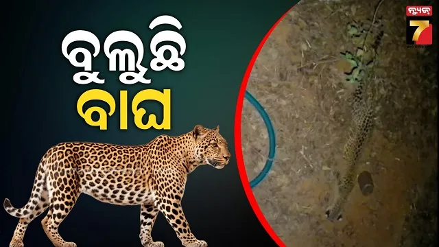 rajasthan-political-crisis-cm-ashok-gehlot-horse-trading-bjp-allegation