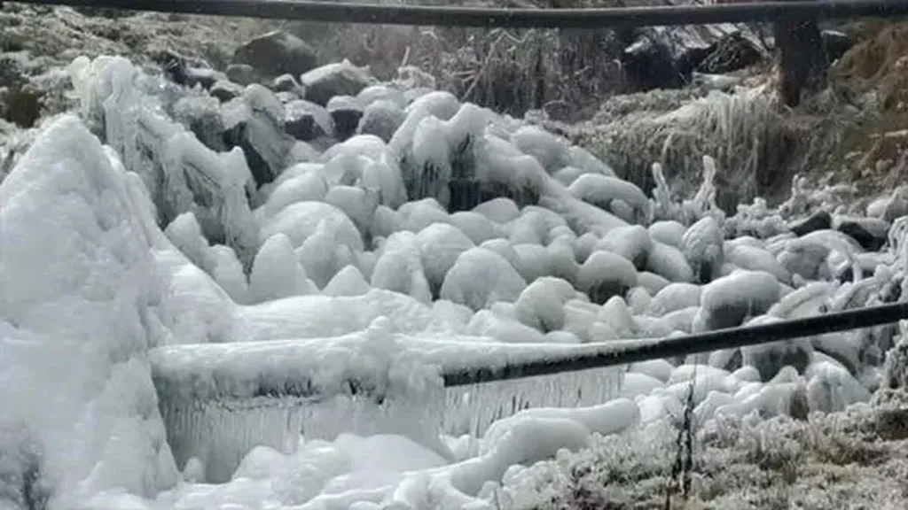 meher-afroz-shawn-arrested-from-dhaka