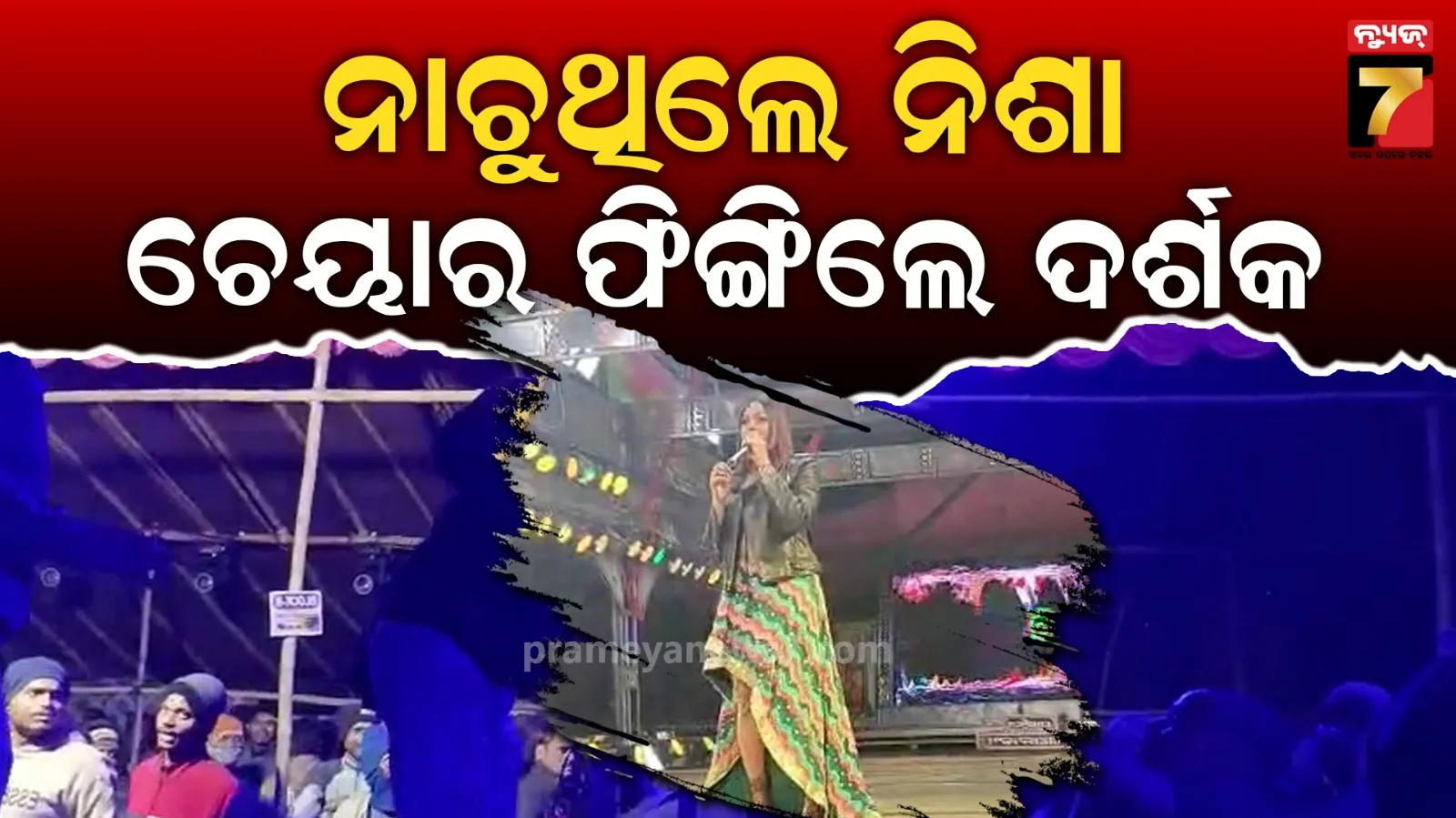 birds-census-report-the-number-of-birds-is-less-this-year