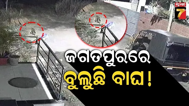 2nd-t20-india-won-the-toss-and-elected-to-bowl-first-against-nz