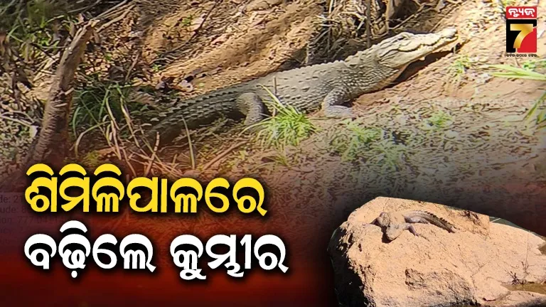 high-profile-fraud-hansita-is-deal-to-free-up-place